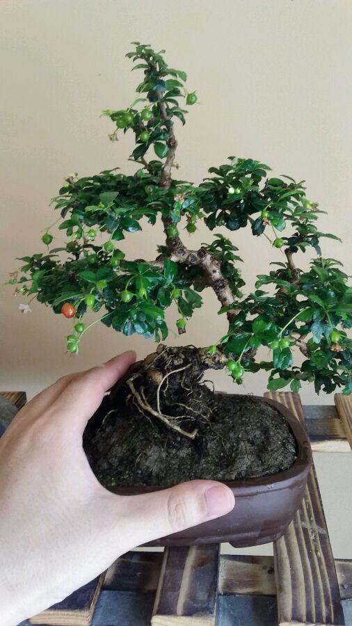 探寻福建古巷深处的清新古韵小店